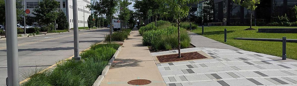 An image of an accessible sidewalk with plants and small trees.