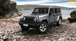 Природный серый