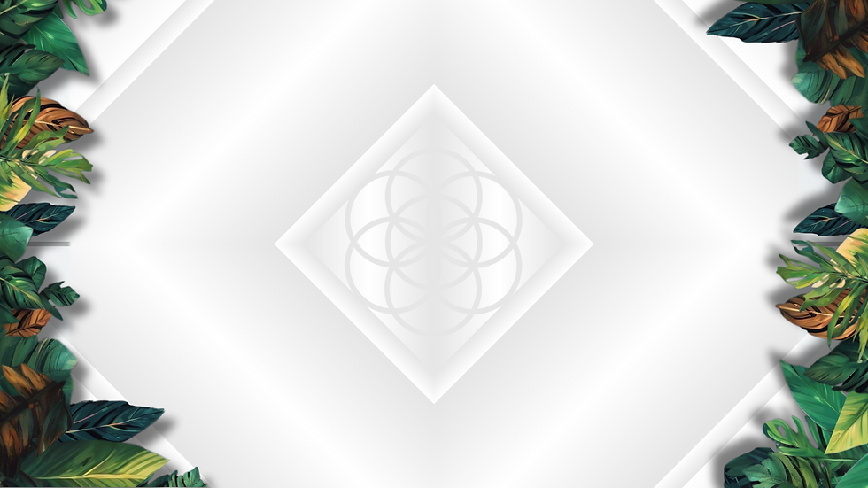 03 SVC EVA Sec05 BKGRND (1).png