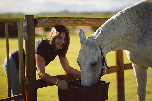 portrait-beautiful-woman-feeding-horse-farmland.jpg