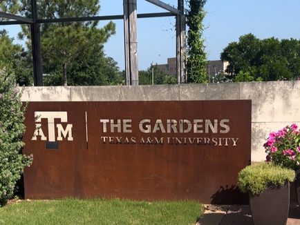 Free Activities for Kids in Bryan-College Station this Summer