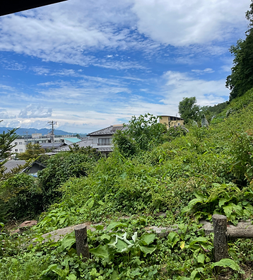 IMG_2435.HEIC