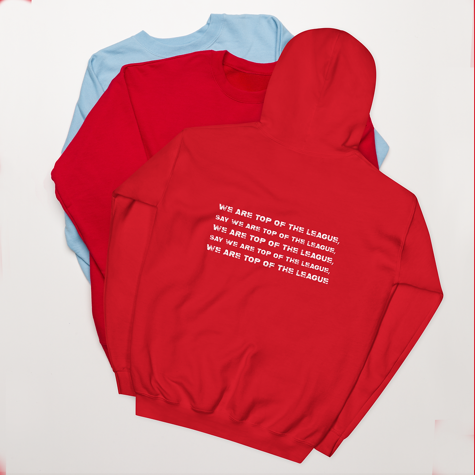 Miniature : We Are Top Of The League - Unisex Hoodie