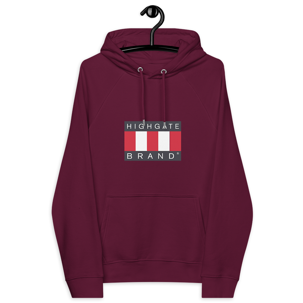Miniatura: Highgate Brand - Unisex eco raglan hoodie