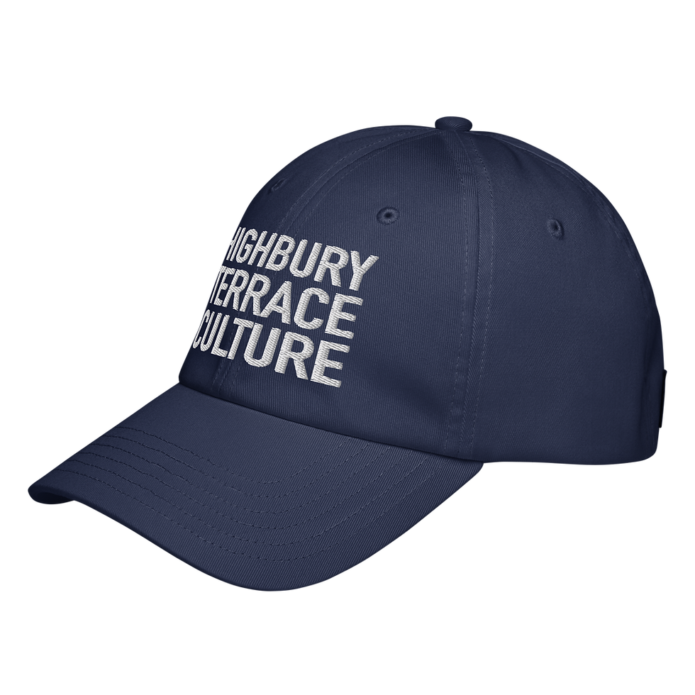 Thumbnail: Highbury Terrace Culture Under Armour® dad hat
