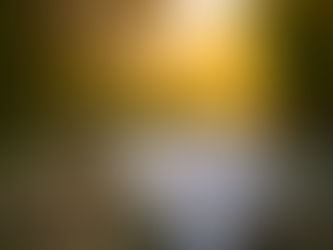 The Soothing Salve of Forgiveness