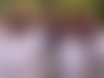 40 Lessons We Sought to Teach Our Children