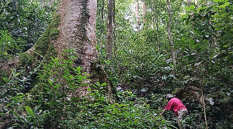 National Park Border Patrol Walk.jpg