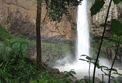waterfalls near gunung leuser