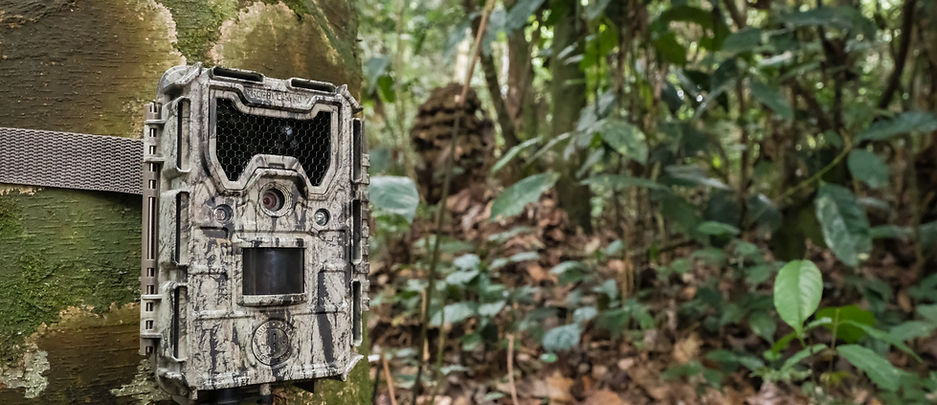 monitoring wildlife simolap hot spring.jpg