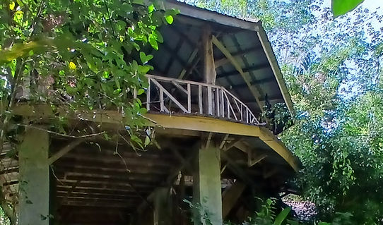 forest basecamp simolap hot spring
