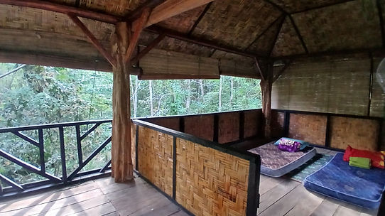 dorm at forest basecamp