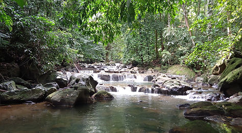 river walk and traditional fishing simolap.jpg
