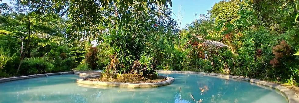 Simolap eco-lodge around the pool.jpg