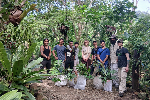 volunteer conservation sumatra