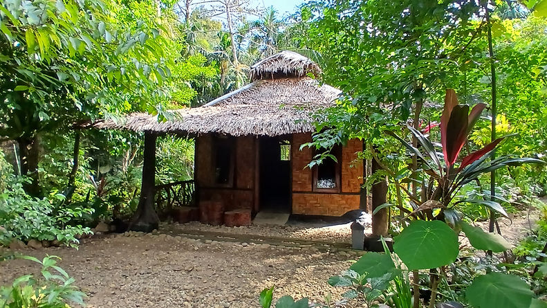 traditional eco lodges surrounded by rainforest