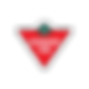 canadian-tire.png