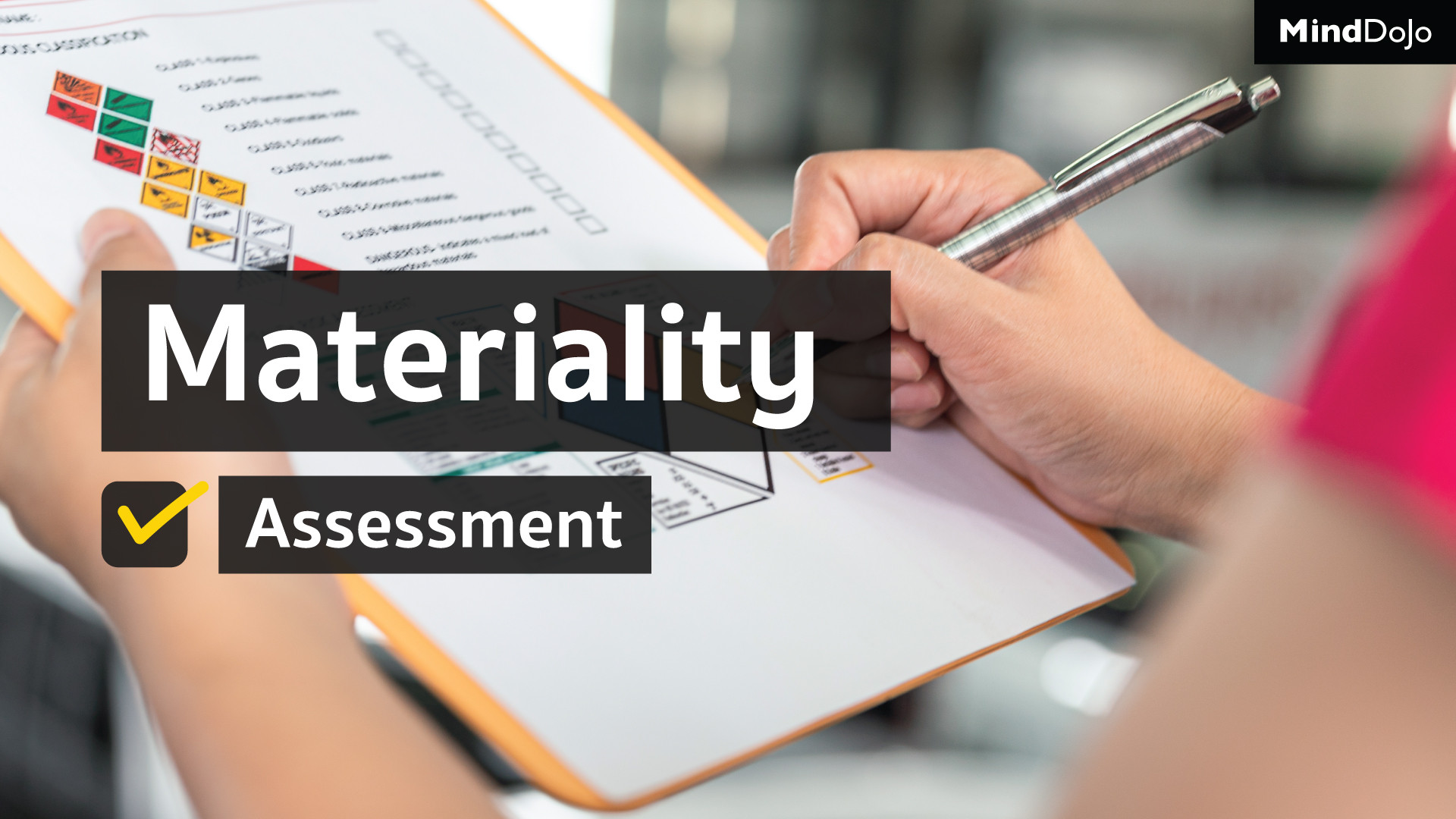 Materiality Assessment