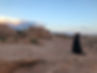 IMG-8279.jpg