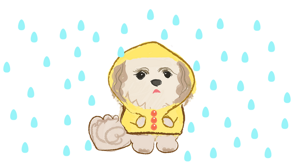 雨衣球球藍色雨點RGB最新_正確 1.png