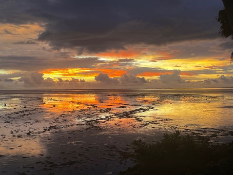 D4DInsights:  2025 Year in Review