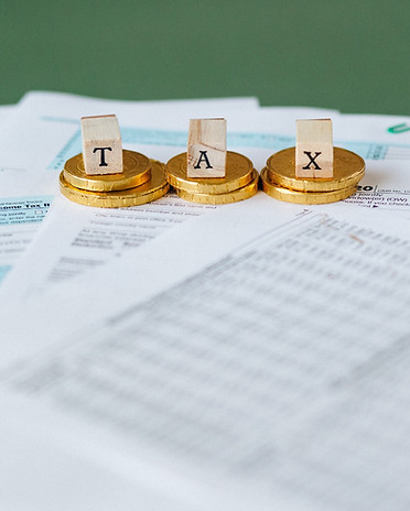 Companies provides various solutions in the Taxation industry vertical
