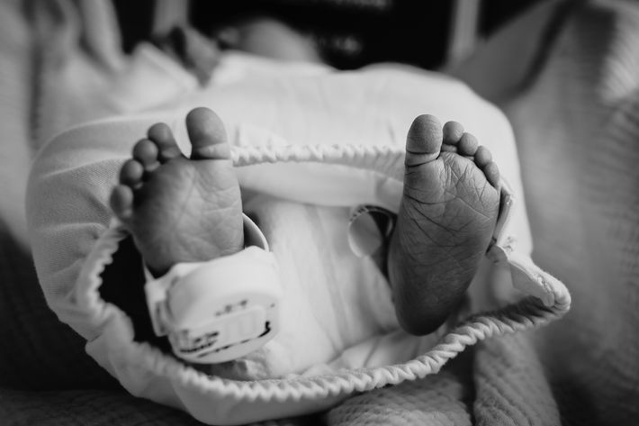 Henry Raymond: A Fresh 48 Birth Photography Newborn Session in Raleigh, NC