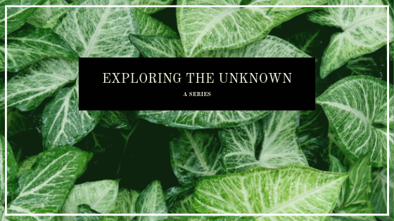 Exploring the Unknown: A Series