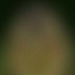 Drijven in Slovenië