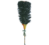 Screenshot%20(341)_edited.png