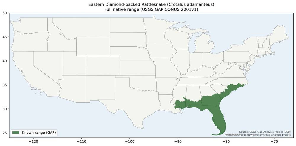 Eastern Diamond-backed Rattlesnake