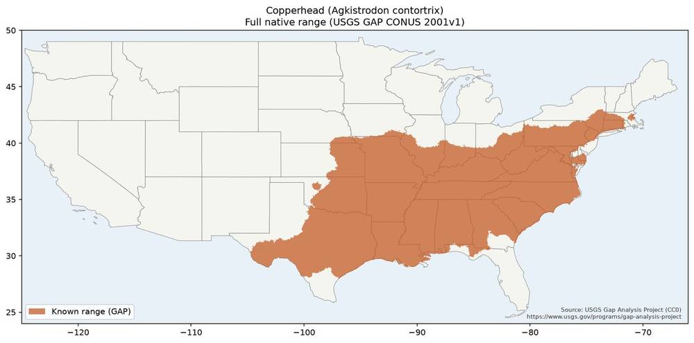 Copperhead