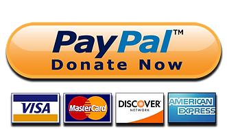 paypal donate button.png