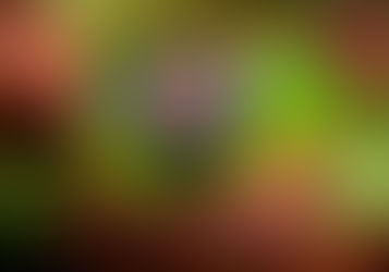 What are Map, Compass, Passport, and Punch in Adventure Racing?