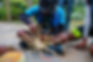488251275_1097370352403234_3560620338189587884_n.jpg