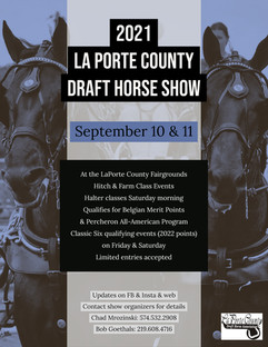 2021 Show Flyer.jpg