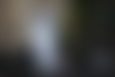 Kissa on paras ja luonnonmukaisin jyrsijäntorjuja