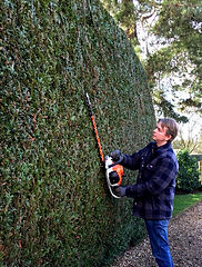 Hedge Trimming and Cutting