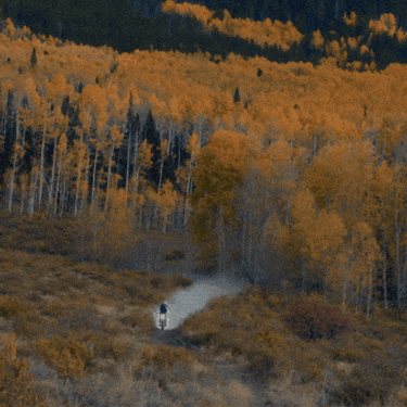 Siena Valley Club Commercial Social Media Content