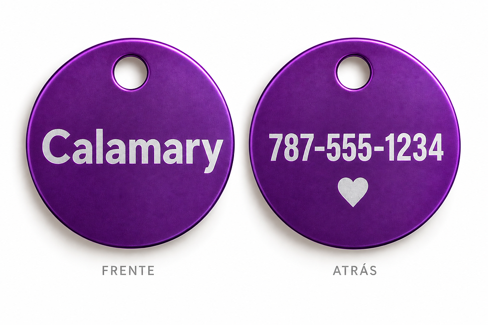 Thumbnail: Cat Tag Personalizado