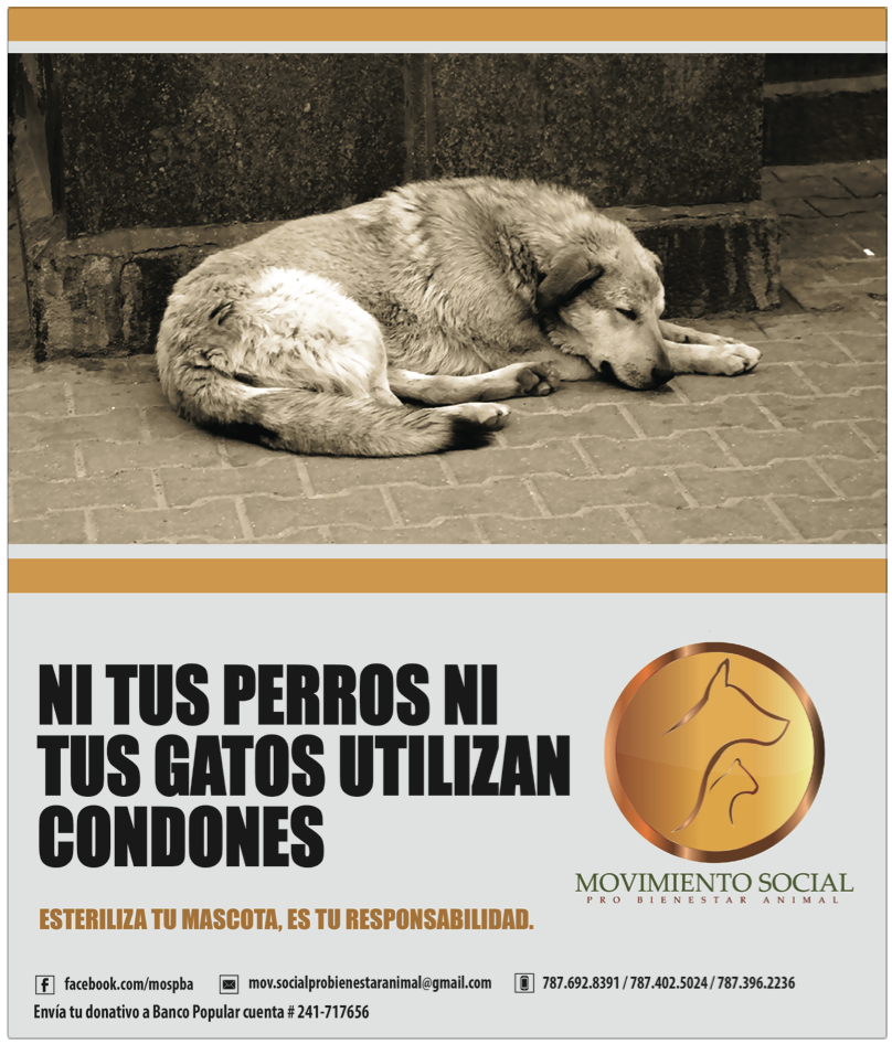 Promoción MOSPBA 2