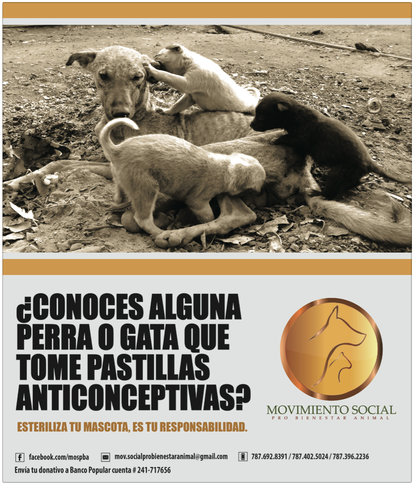 Promoción MOSPBA 4