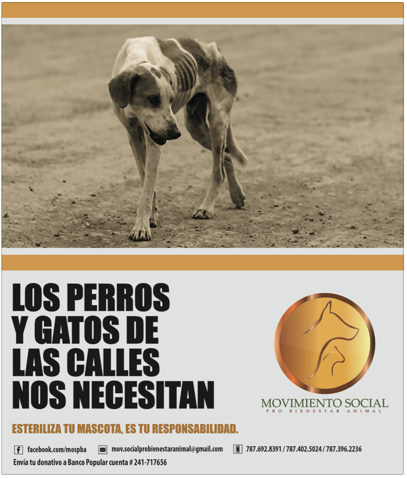 Promoción MOSPBA 5