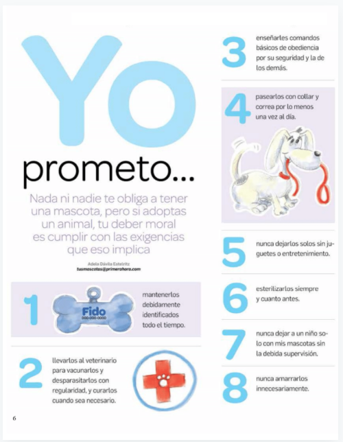 Yo Prometo