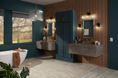 240827-contemporary-bathroom-w-h.jpg