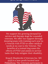 braach-shepherds-4-veterans-brochureFron