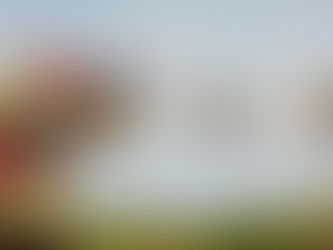 Cold Town Beer Returns to 'Neighbourgood' Market with a Bumper Summer Line‑Up