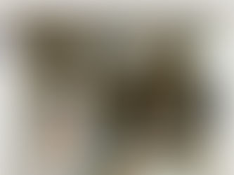 Proving popular: Edinburgh artisan bakery marks a decade in business