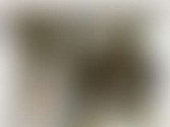 Proving popular: Edinburgh artisan bakery marks a decade in business