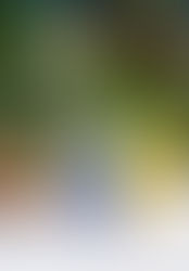 Caleño - The joy of not drinkingÂ